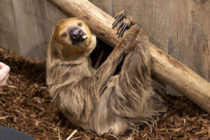 仙台ECOの新しい仲間をご紹介！【動物園・動物飼育専攻】